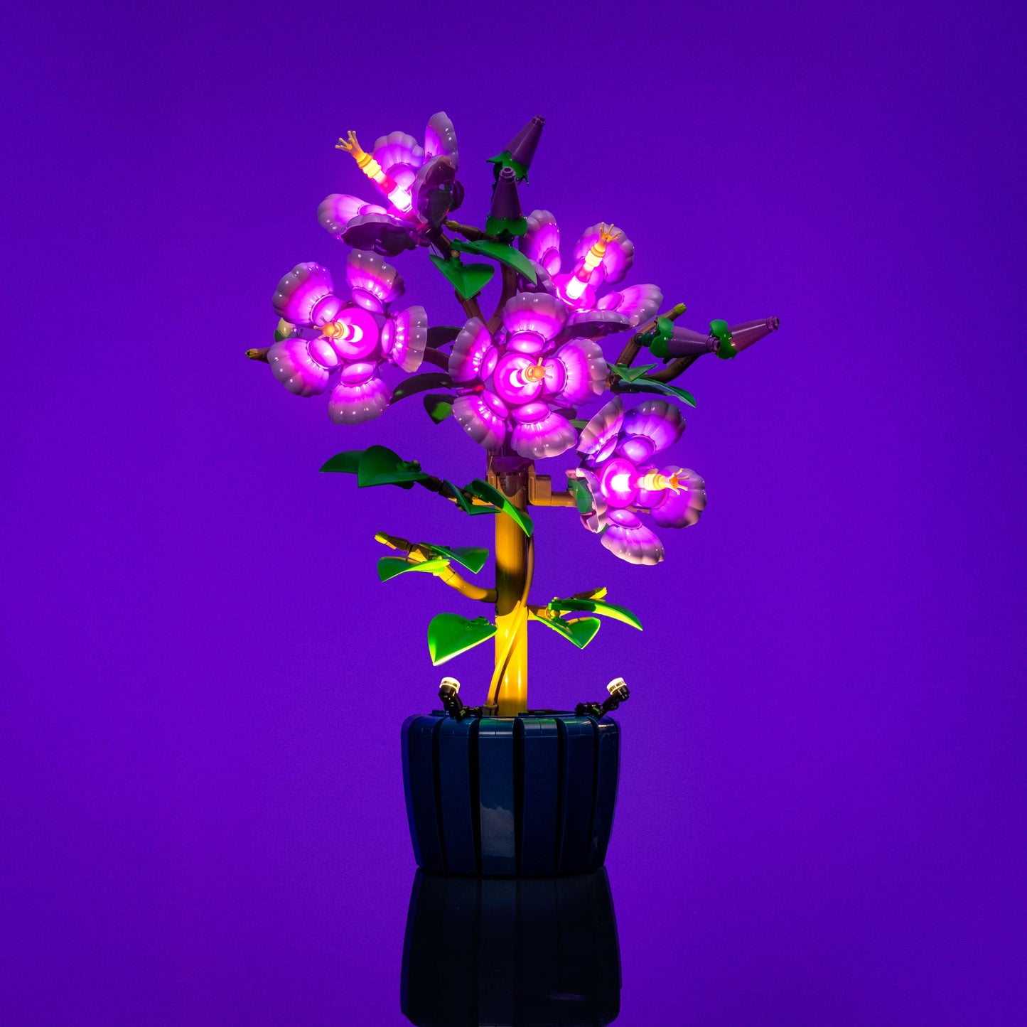 Light Kit for LEGO® Botanicals Hibiscus #10372