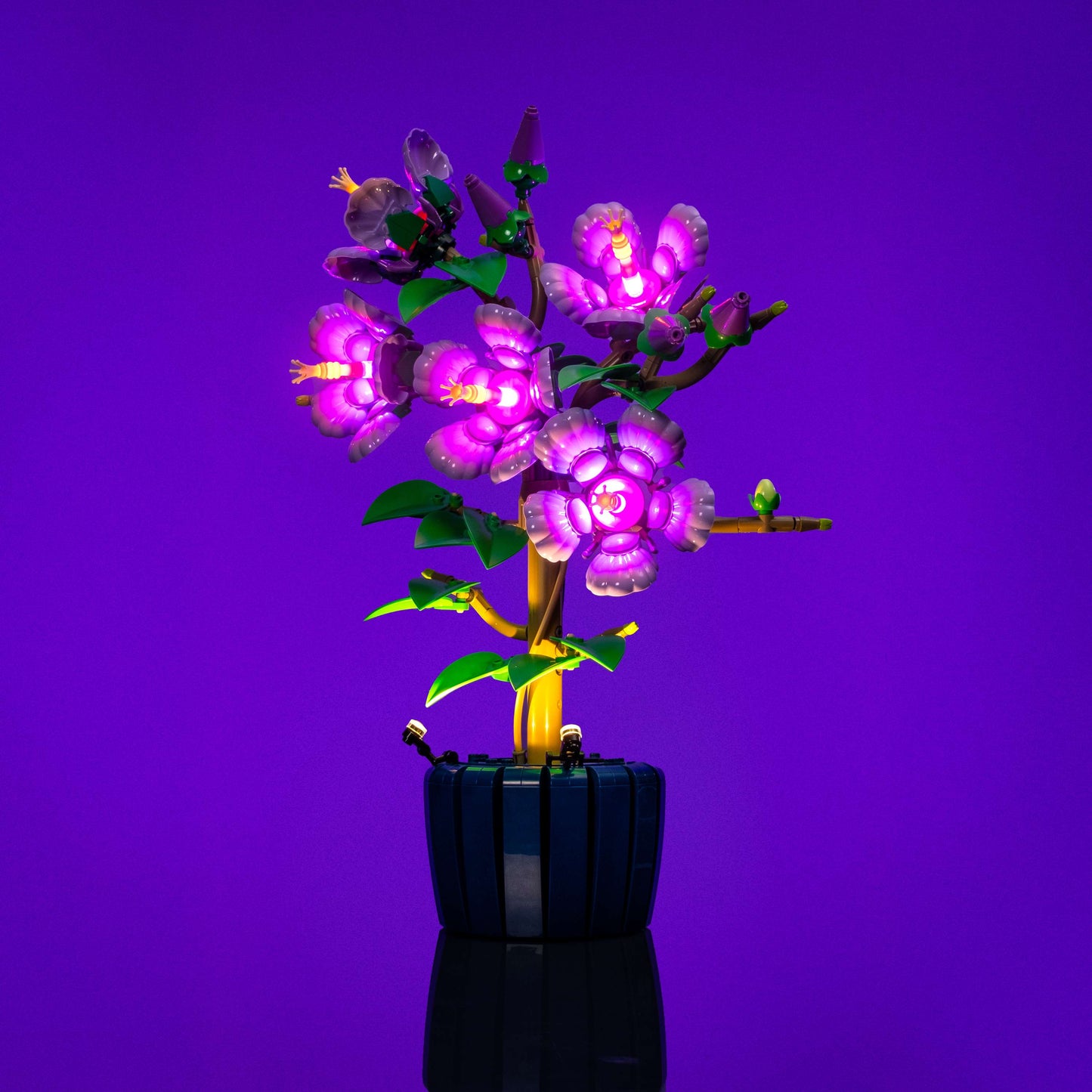 Light Kit for LEGO® Botanicals Hibiscus #10372