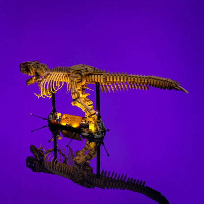 Light Kit for LEGO® Dinosaur Fossils: Tyrannosaurus rex #76968