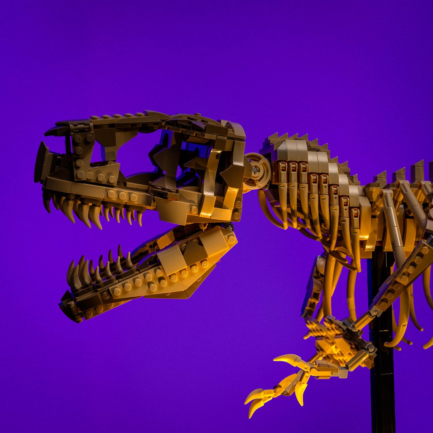 Light Kit for LEGO® Dinosaur Fossils: Tyrannosaurus rex #76968
