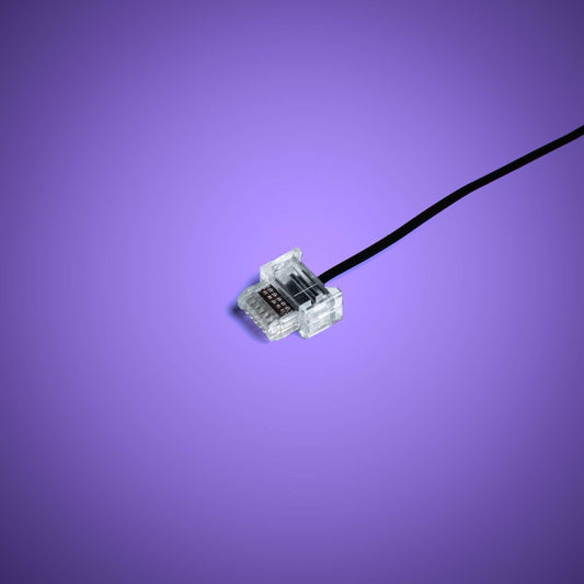 Powered Up Belt - 15cm