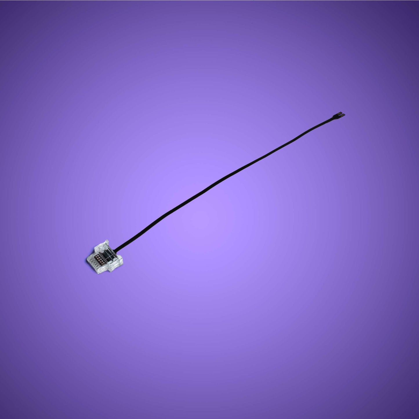 Powered Up Belt - 15cm