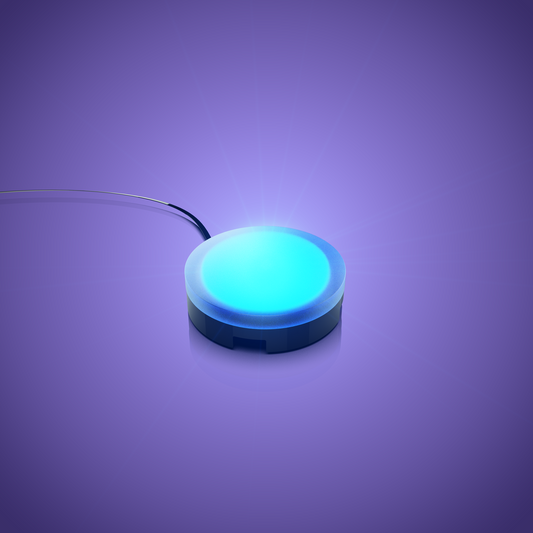 Solar Light - Blue 30cm (2 Pack)