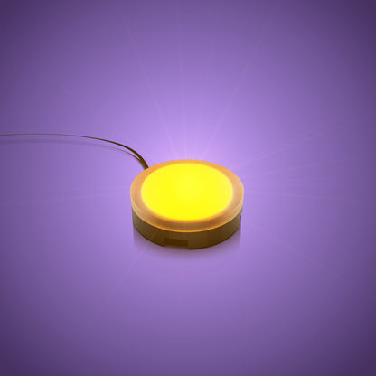 Solar Light - Orange 30cm (2 Pack)