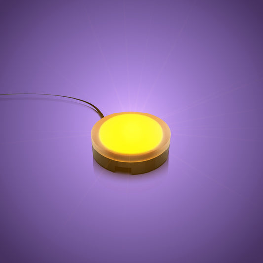 Solar Light - Orange 30cm (2 Pack)