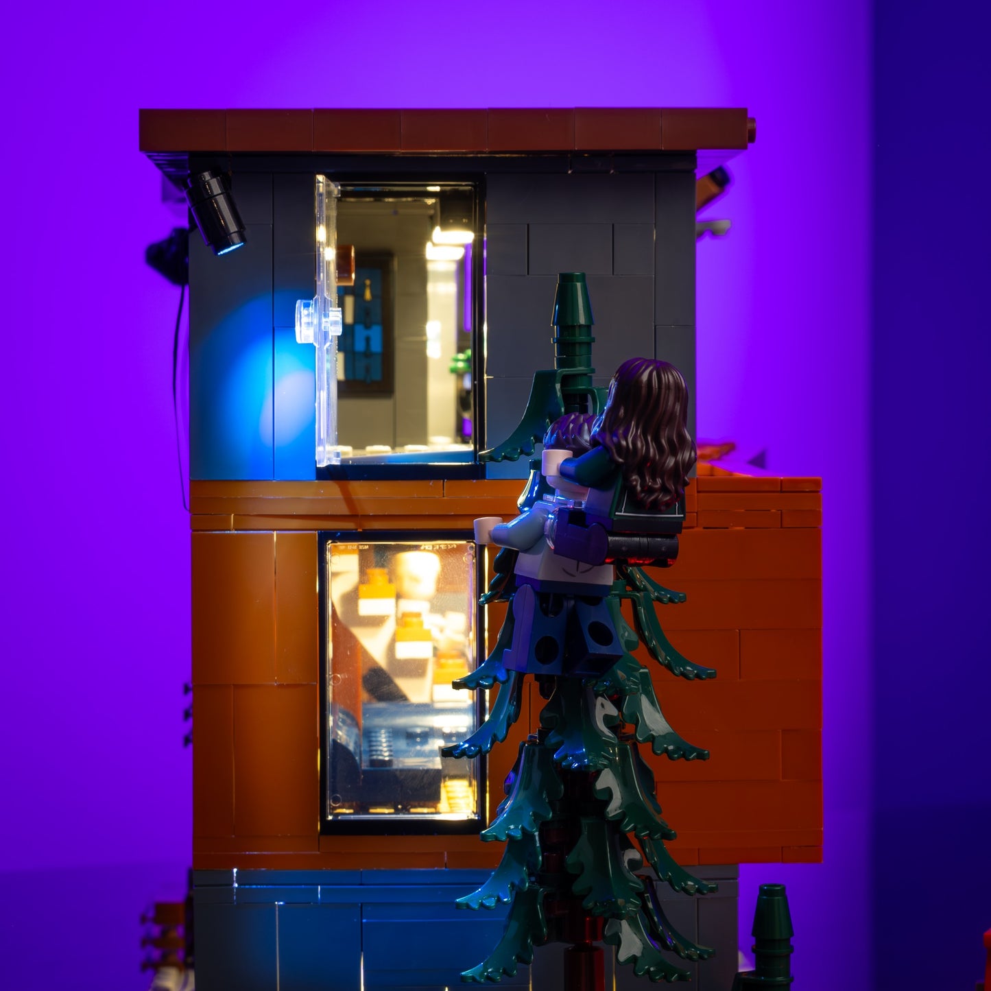 Light Kit for LEGO® Twilight The Cullen House #21354