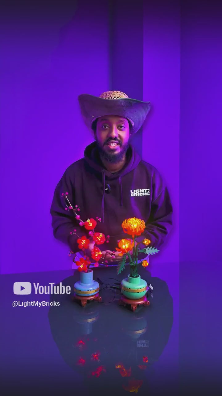 Load video: 